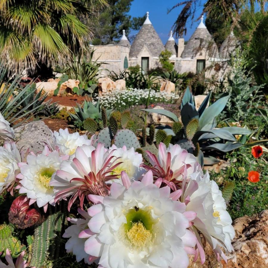 Вилла Trullo Bosco Libero Остуни Экстерьер фото
