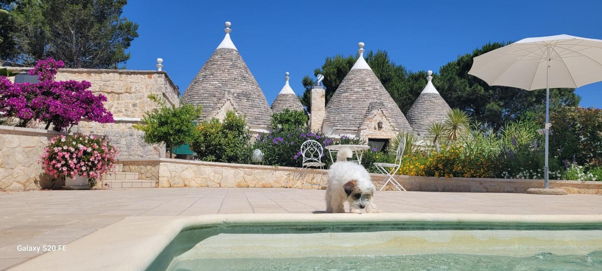 Вилла Trullo Bosco Libero Остуни Экстерьер фото